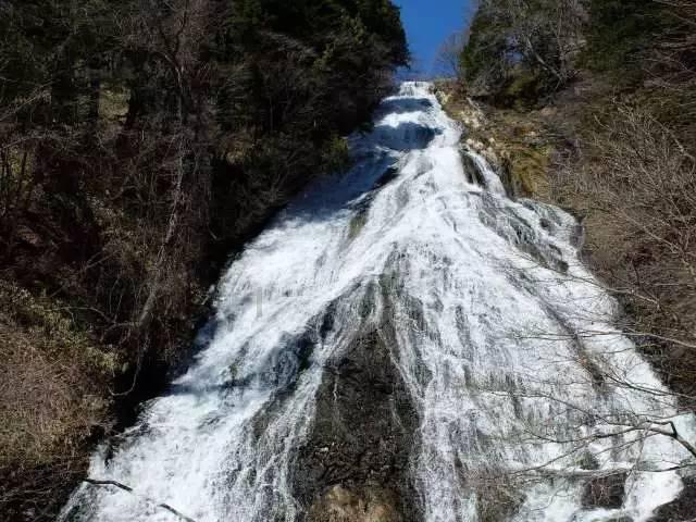 汤姆的灵魂